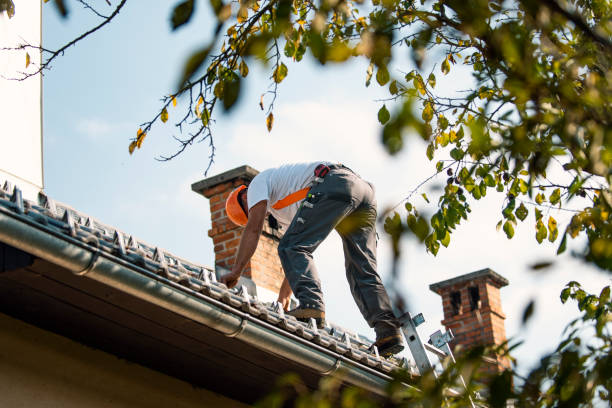 Best Slate Roofing Contractor  in Nashvle, IL