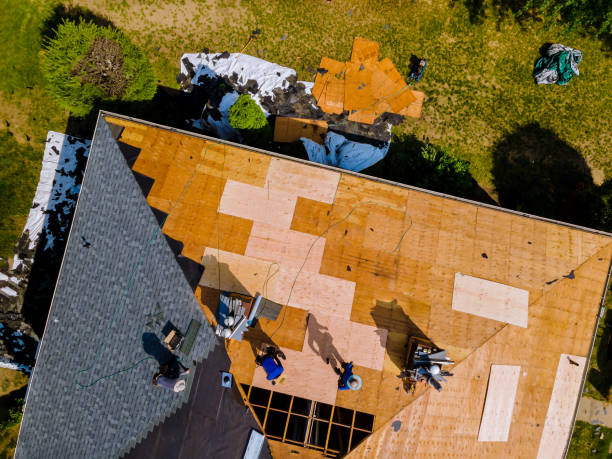 Best Shingle Roofing Installation  in Nashvle, IL