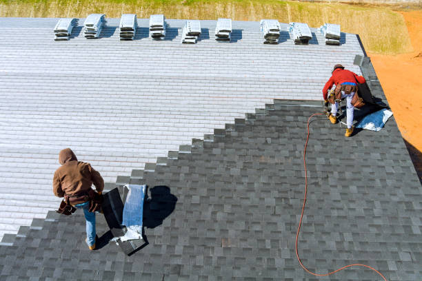 Best Roof Inspection Near Me  in Nashvle, IL