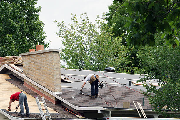 Best Roofing Contractors for Homes  in Nashvle, IL