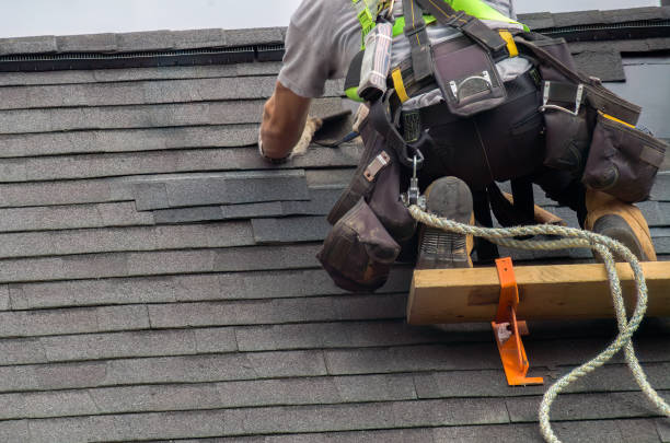 Best Roof Waterproofing Services  in Nashvle, IL