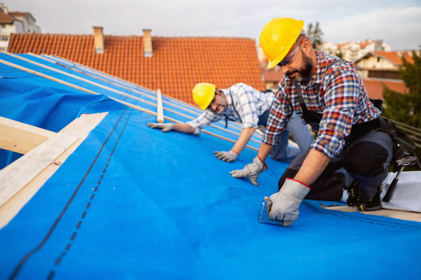 Best Metal Roofing Contractor  in Nashvle, IL