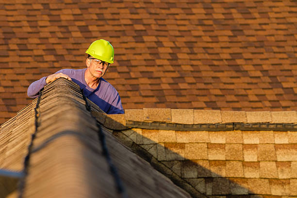 Best Residential Roofing Contractor  in Nashvle, IL