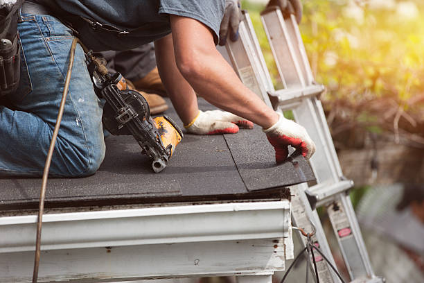 Best Roof Repair Services  in Nashvle, IL