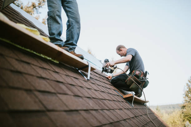 Best Roof Replacement Cost  in Nashvle, IL