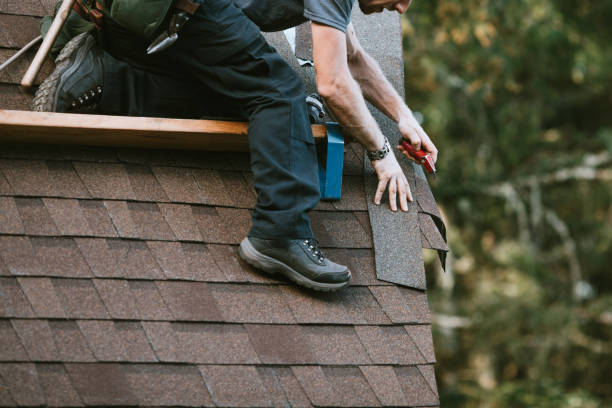 Best Roof Leak Repair  in Nashvle, IL